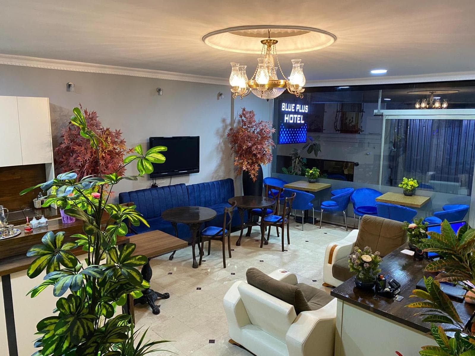BLUE PLUS OTEL - Image 2