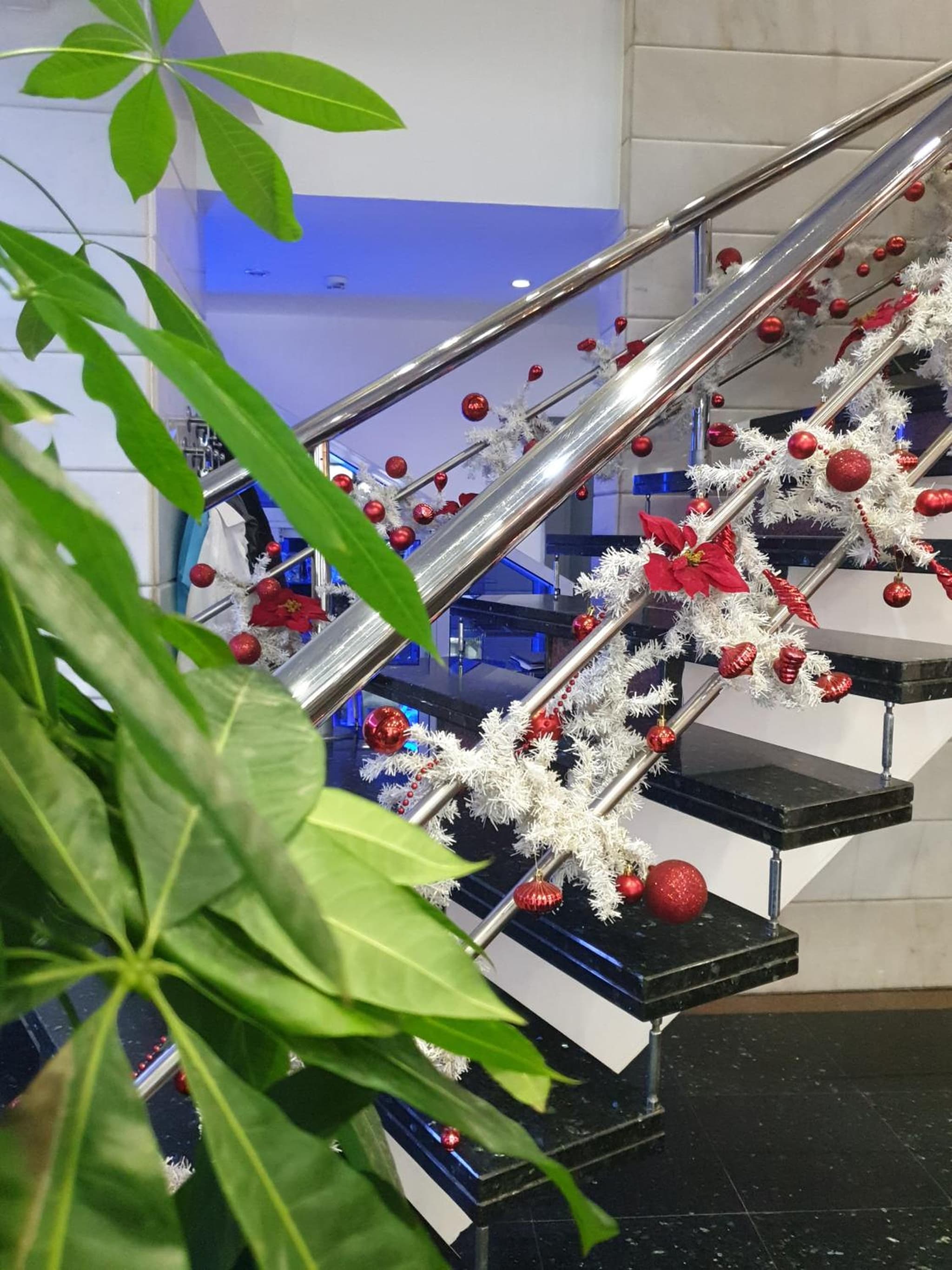 Hotel Marla becomes Marla Otel. - Image 3