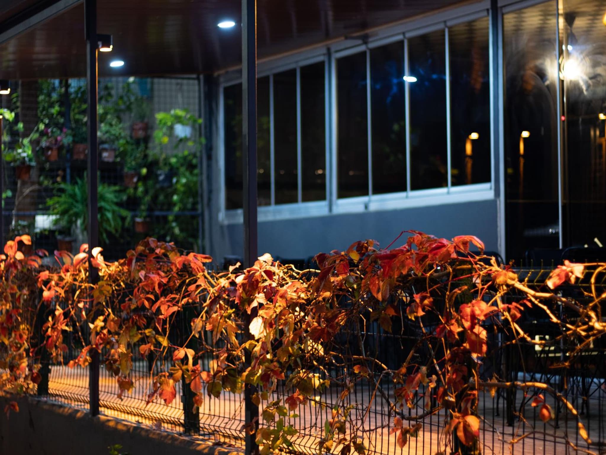 Exporoyal Hotel - Image 3