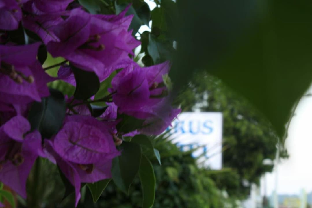 Parus Hotel fotoğrafı