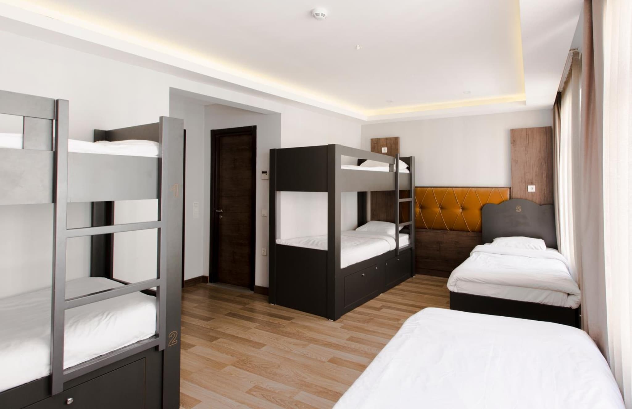 Bucoleon by Cheers - Image 4