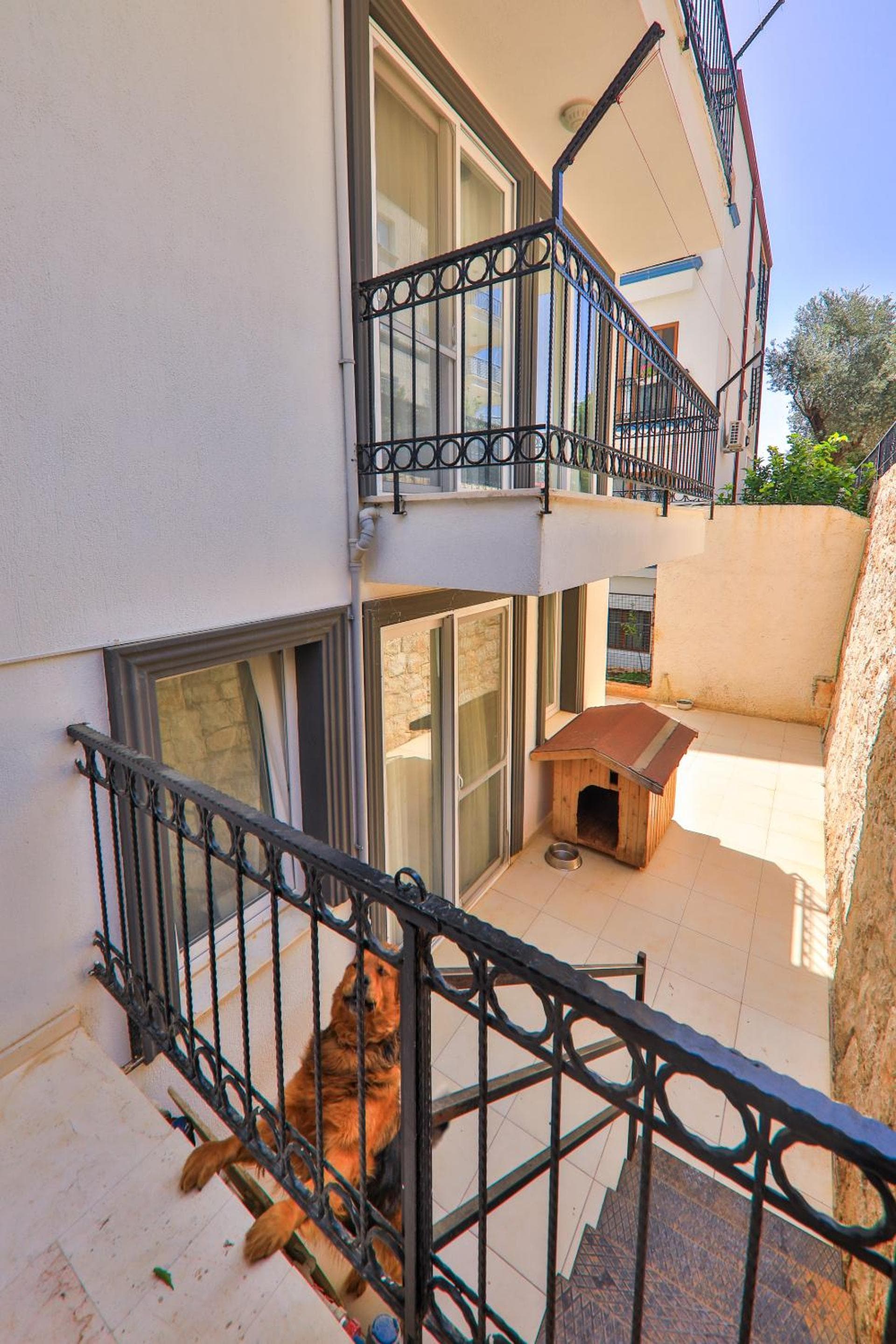 Duygu Apart - Image 3