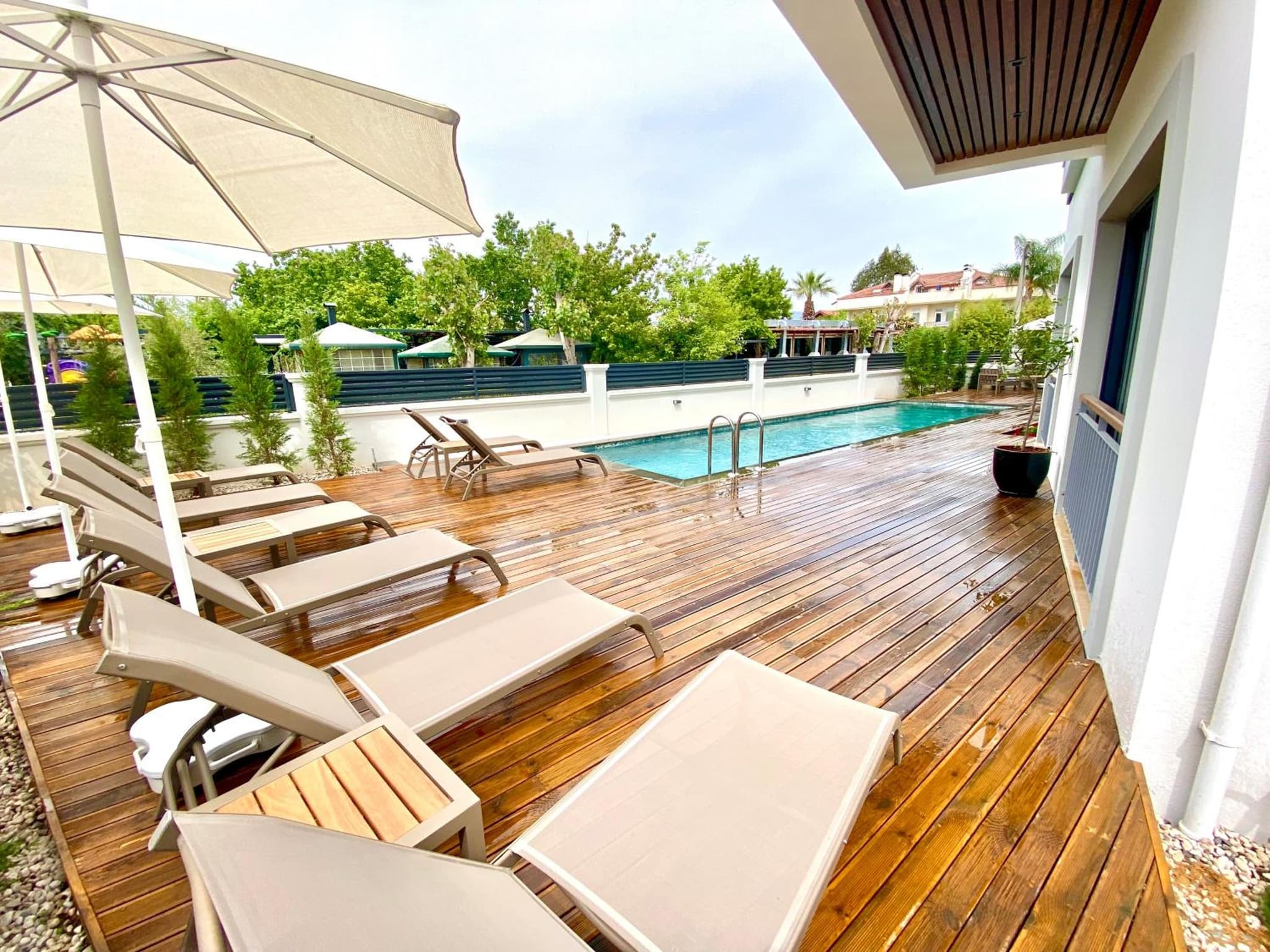 Avilia Süitler - Image 3