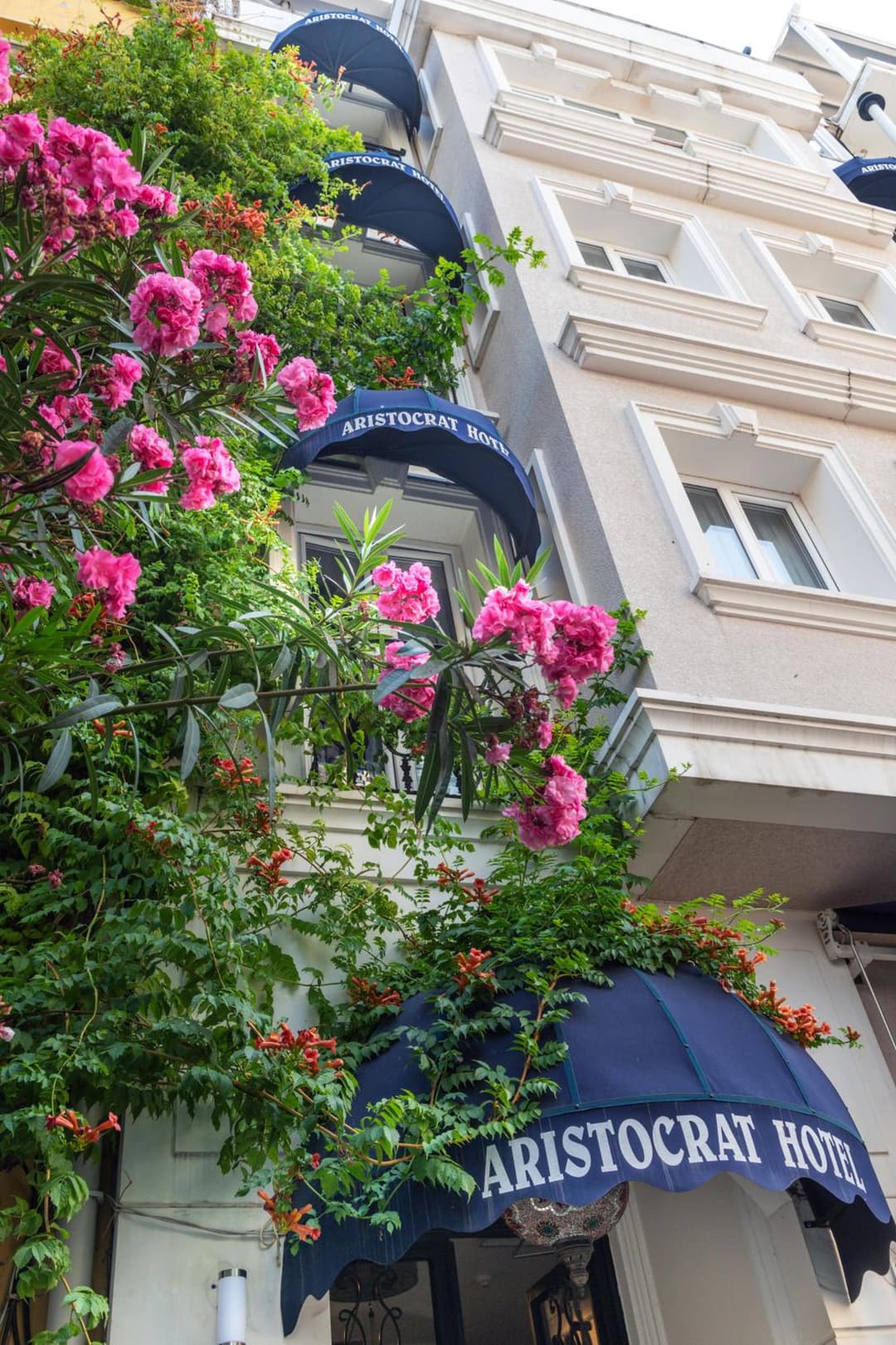 Aristocrat Hotel fotoğrafı