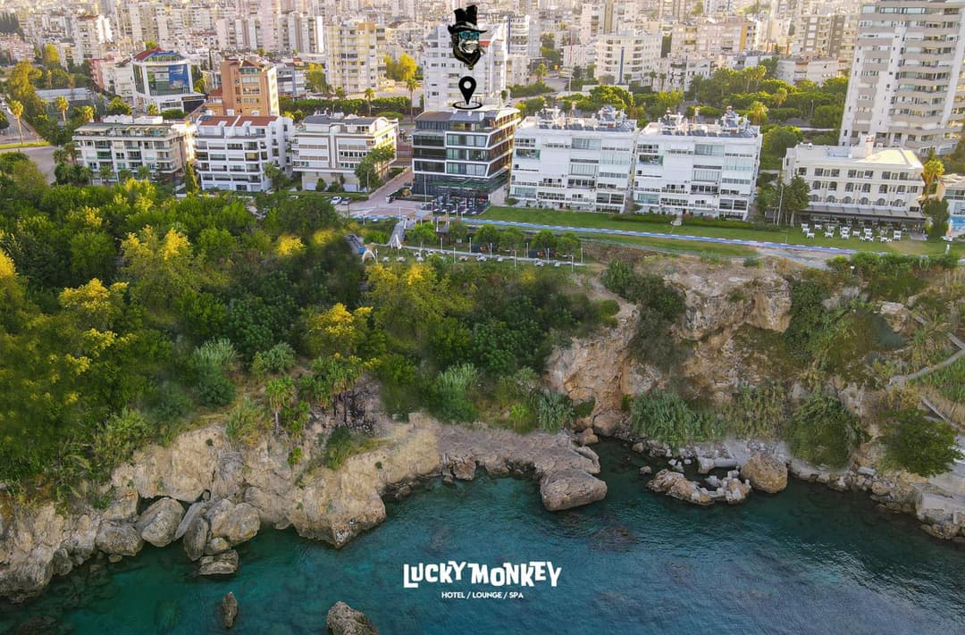 Lucky Monkey Hotel fotoğrafı
