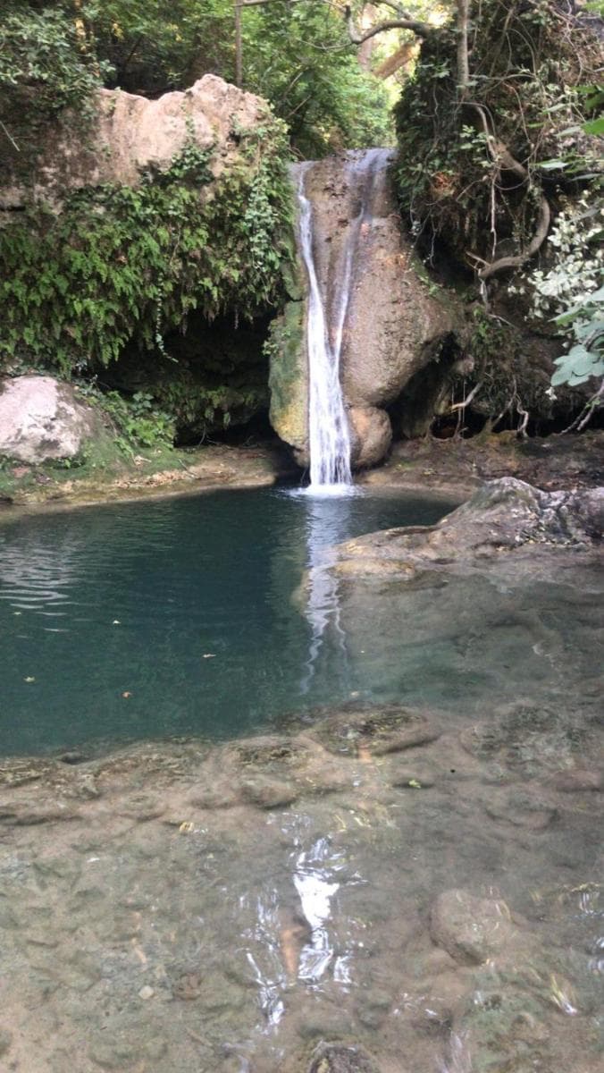 MaviMaris Doğa Evleri - Image 1