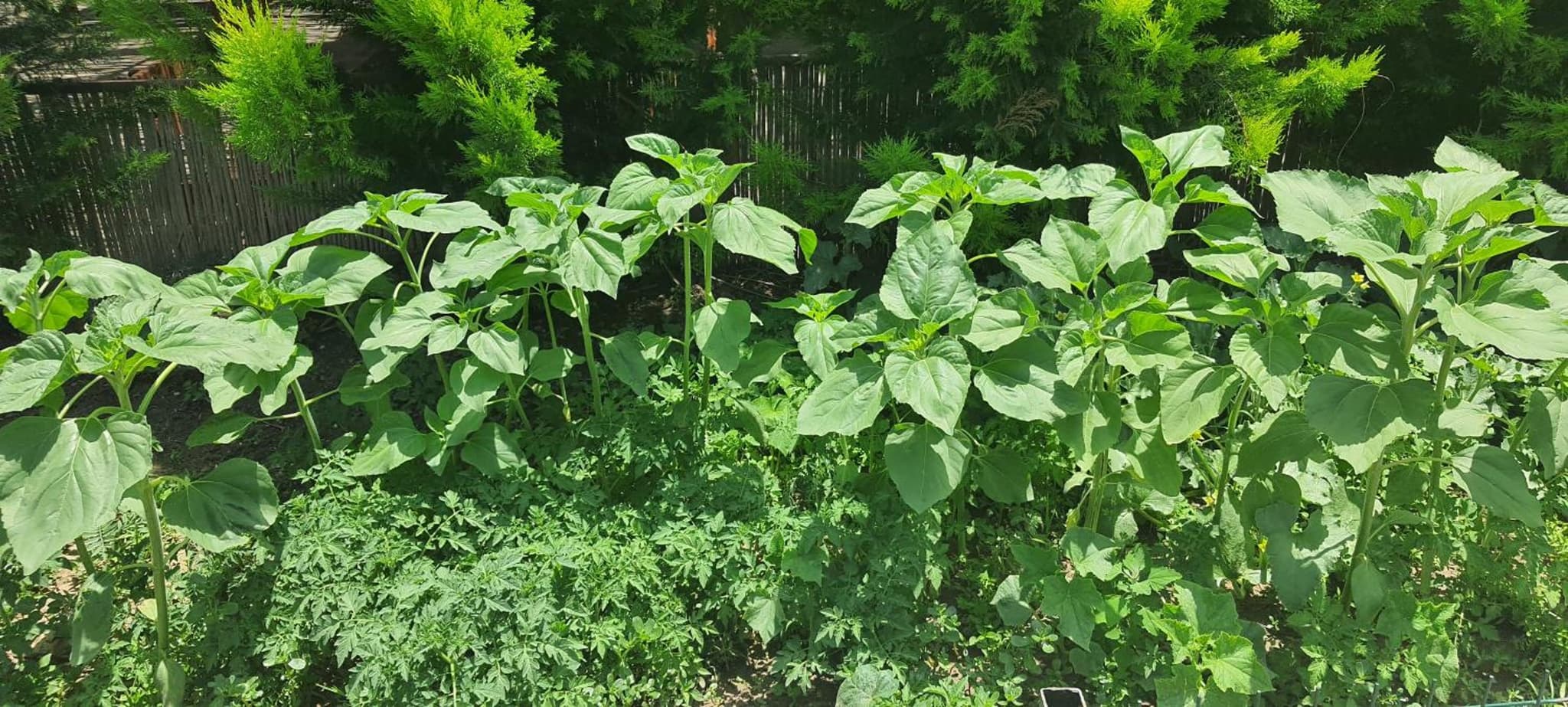 Grand Yayla Hotel - Image 1