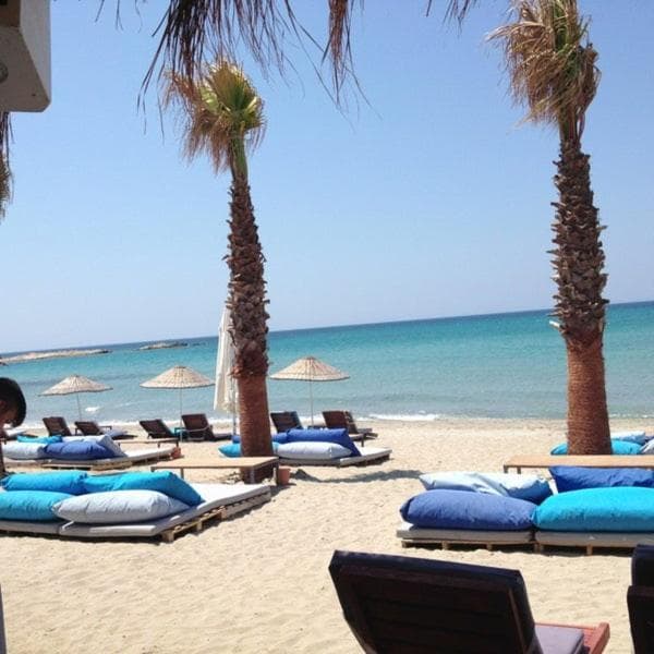 Zeytiny l Tiny Houses & Farm l Çeşme - Image 1