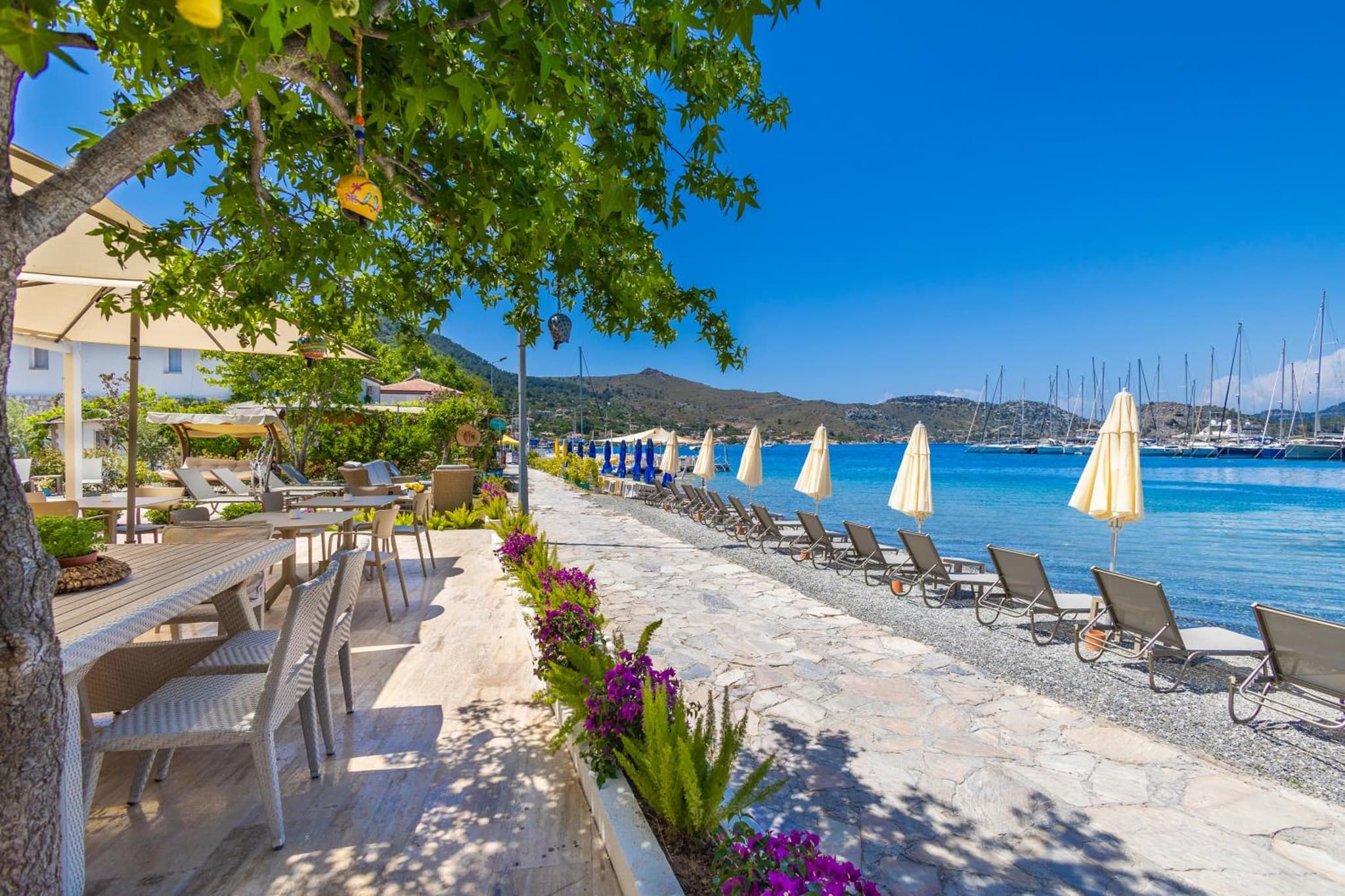 selimiye base - Image 2