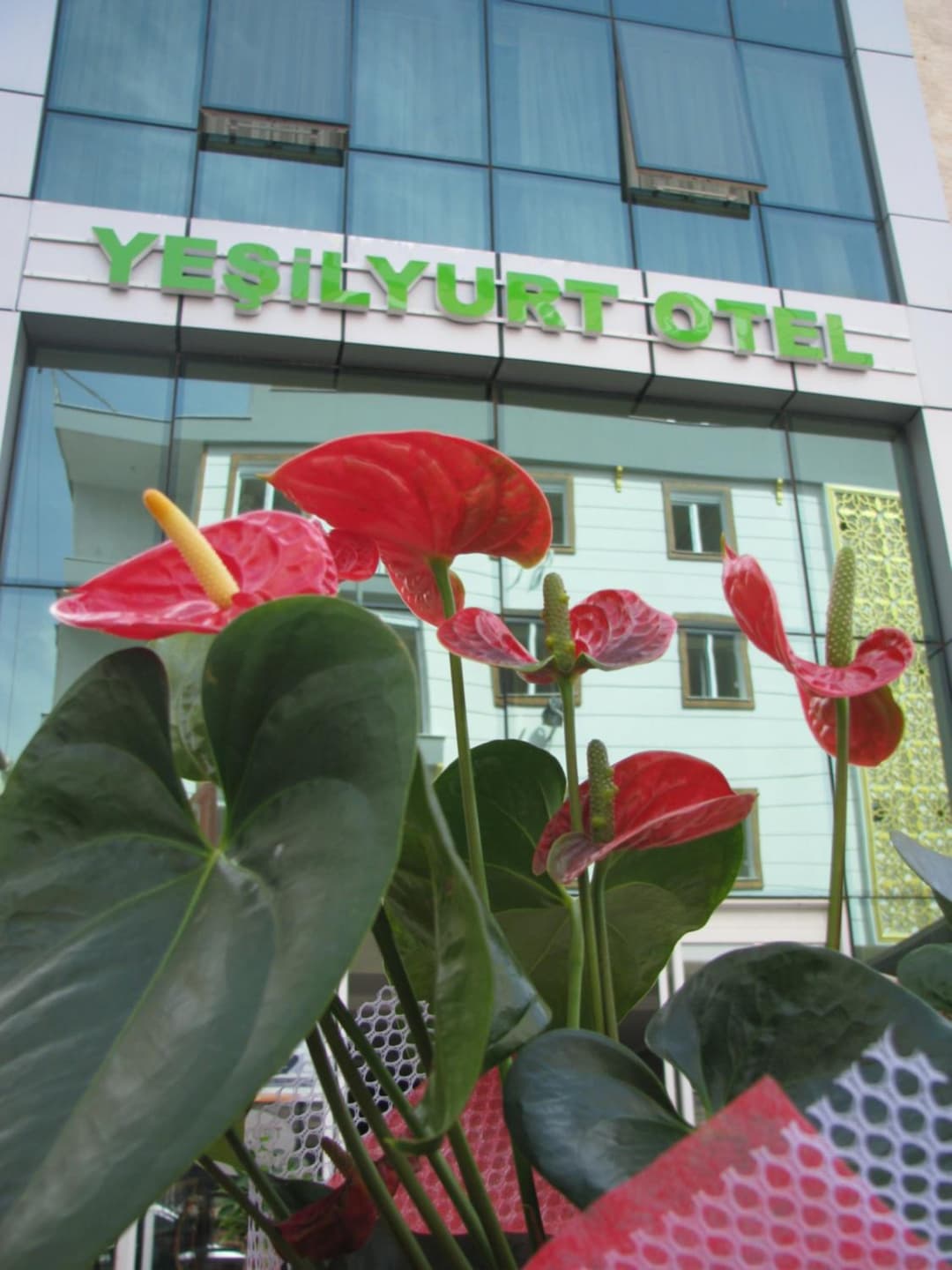 Yeşilyurt otel fotoğrafı