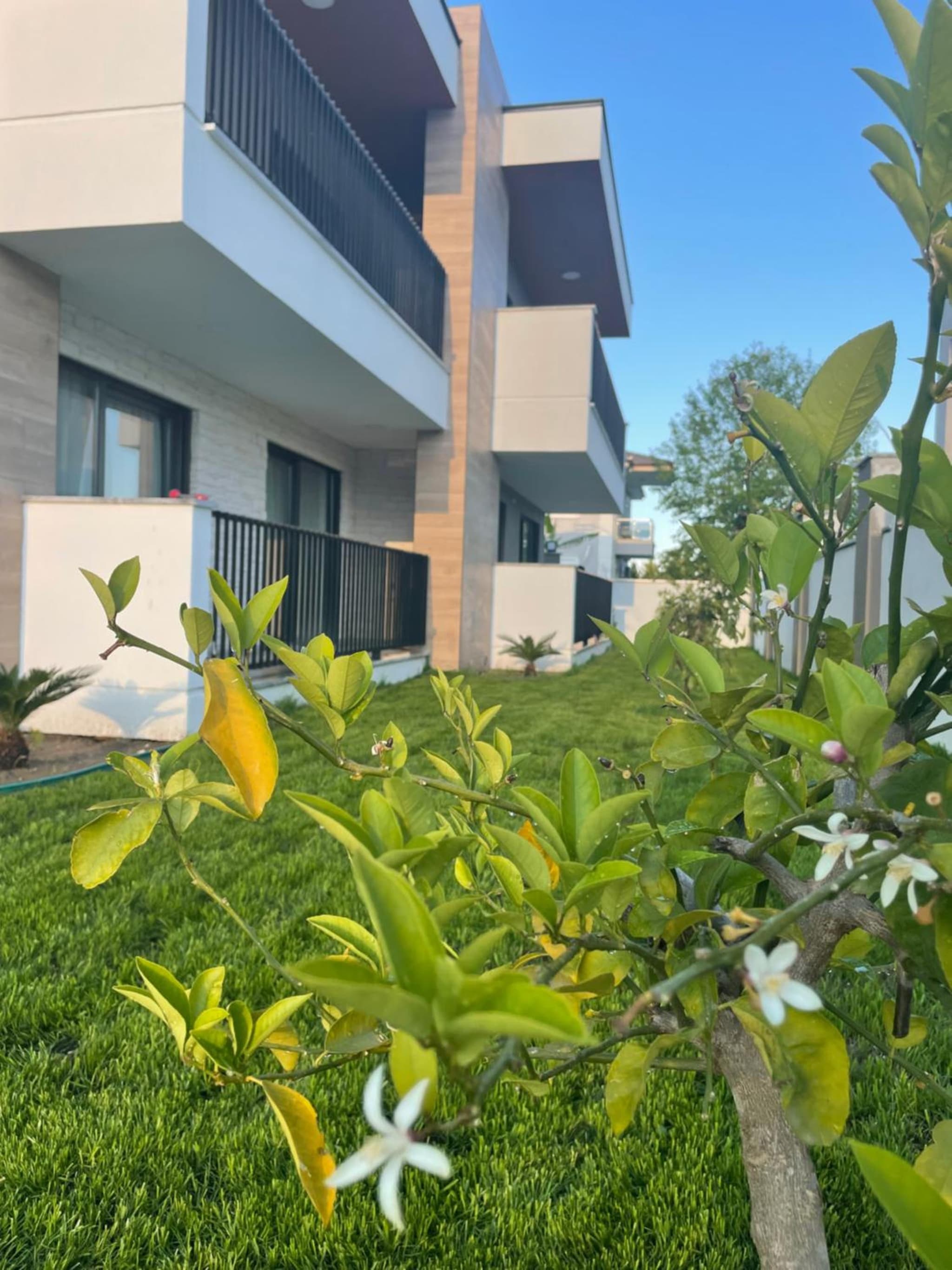 KALİDA APART - Image 1