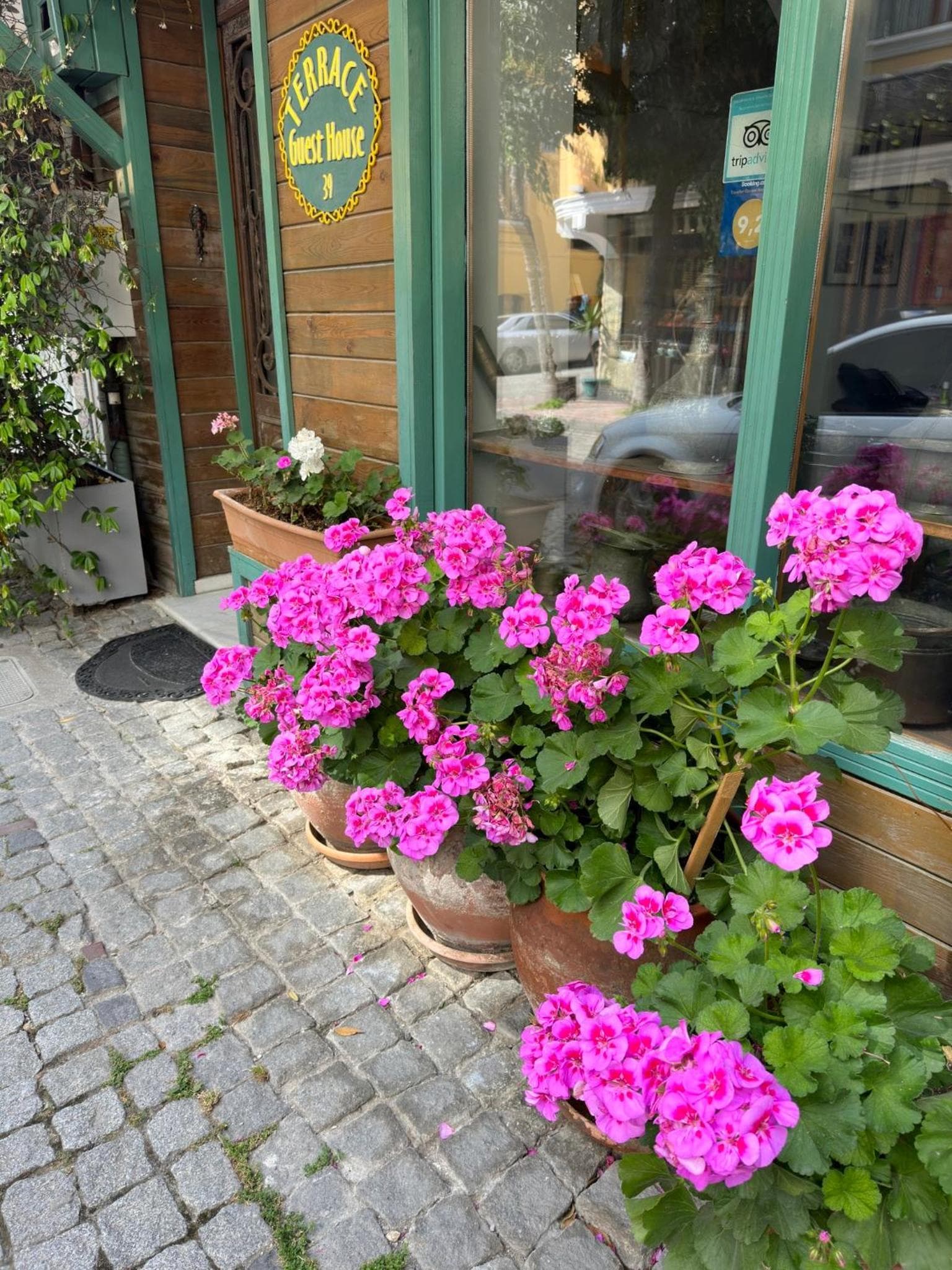 Terrace Guesthouse - Image 1