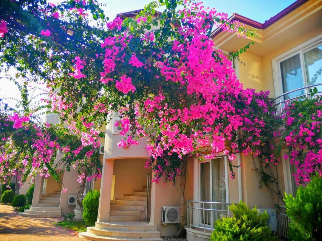 Sunset Beach Kulübü fotoğrafı