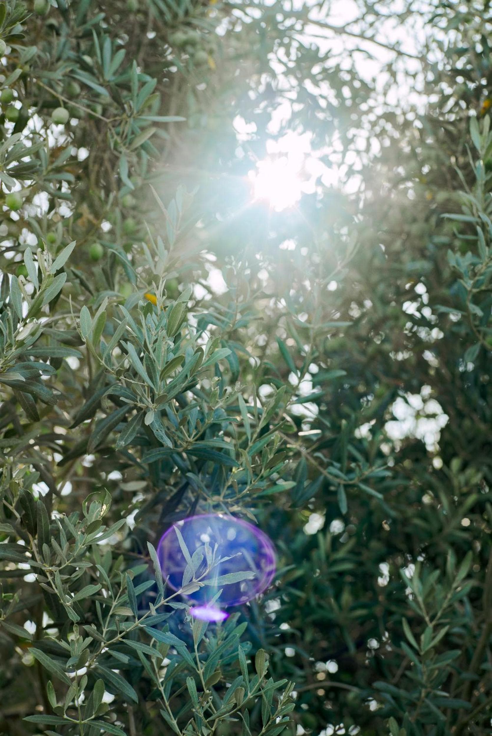 Masal Evimiz - Image 2