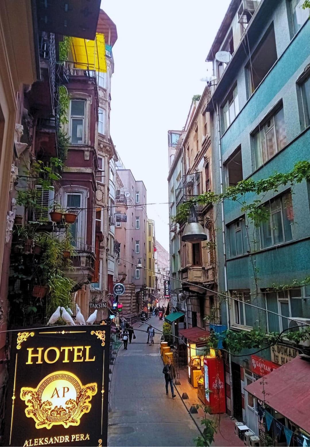 Aleksandr Pera Otel fotoğrafı