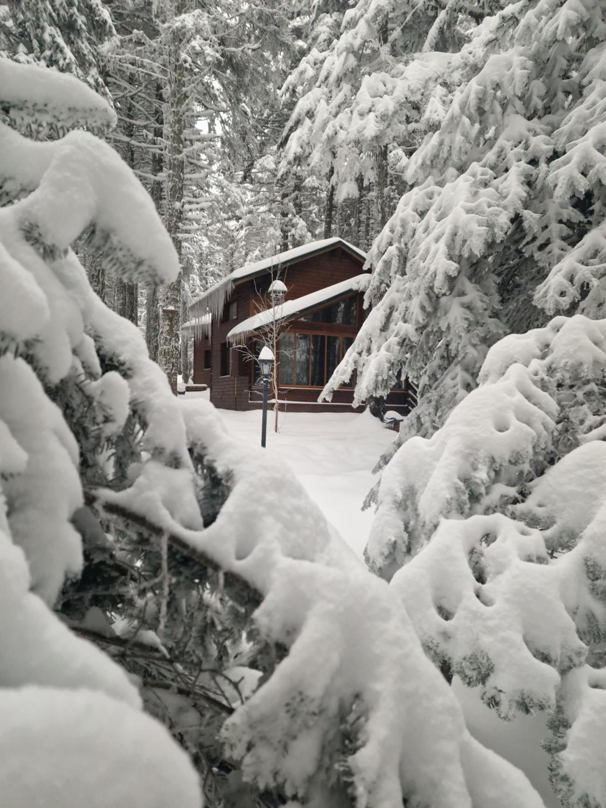 Karinna Orman Evleri & Non Alcohol - Image 1