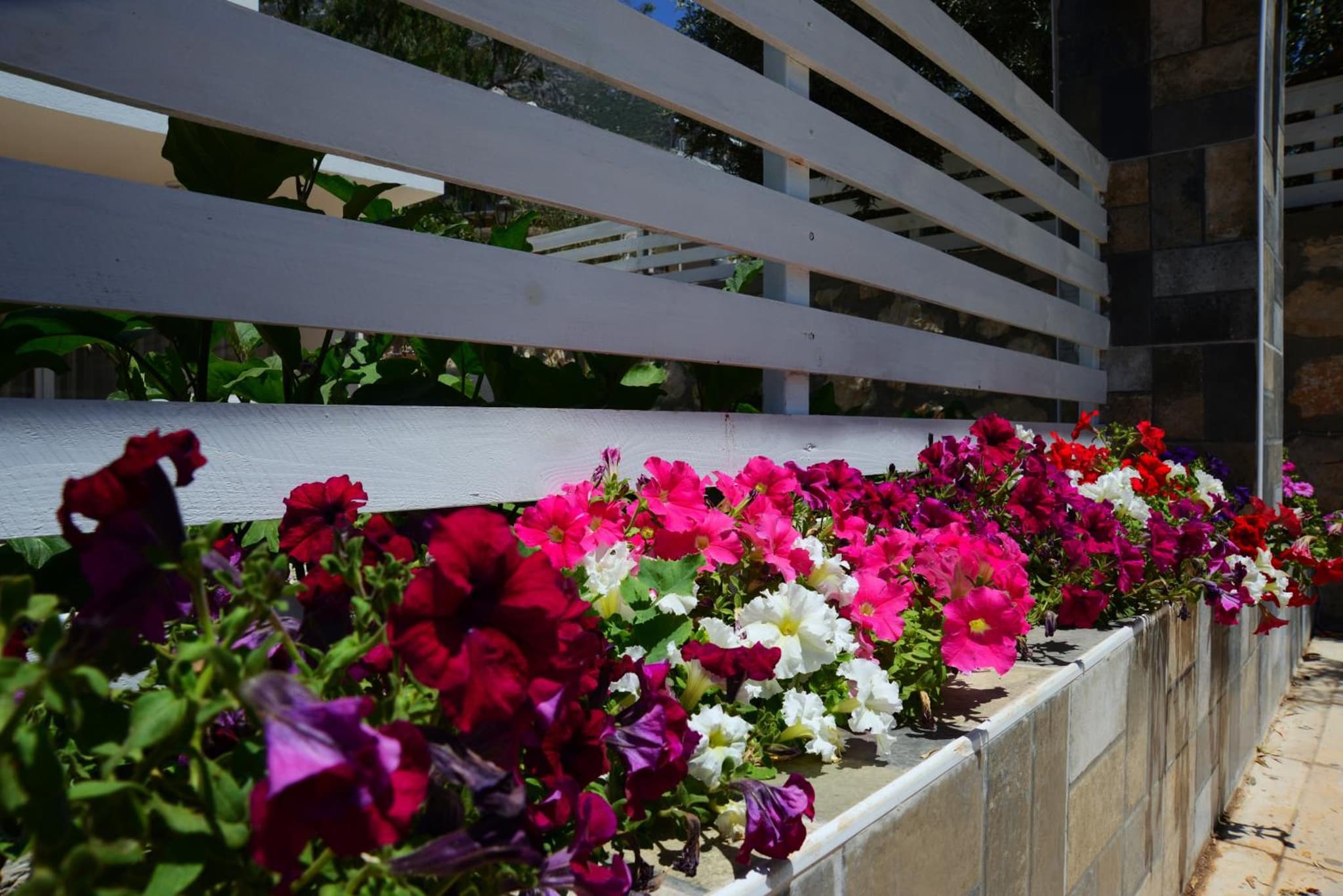 Neruda Otel - Image 3