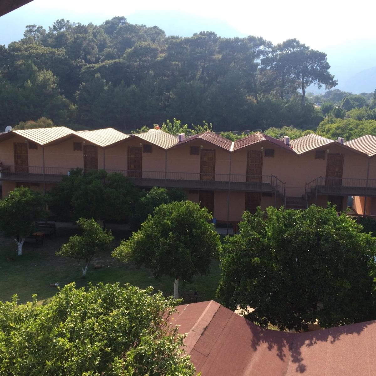 Woodline Hotel - Image 1