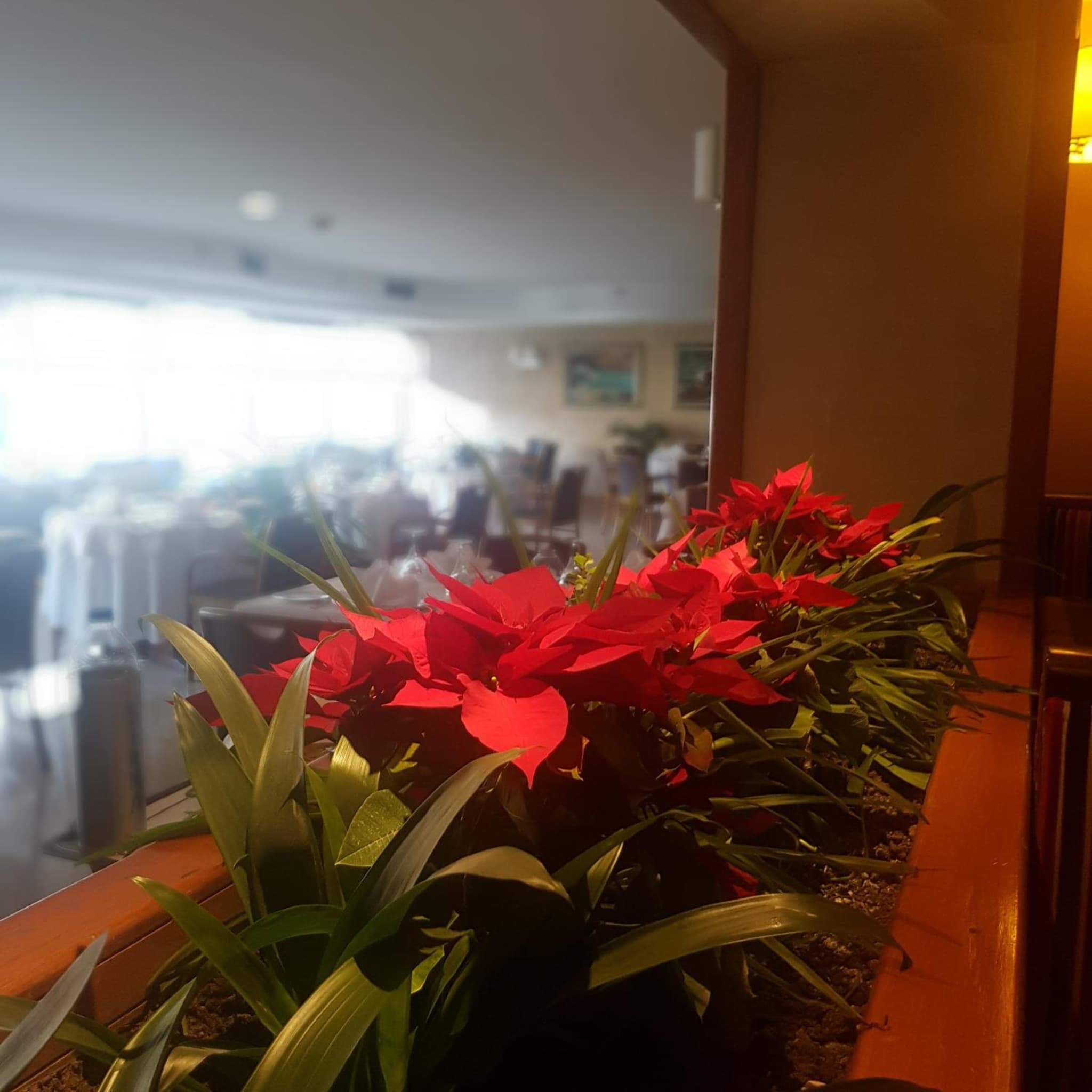 Buyukhanli Park Hotel - Image 4