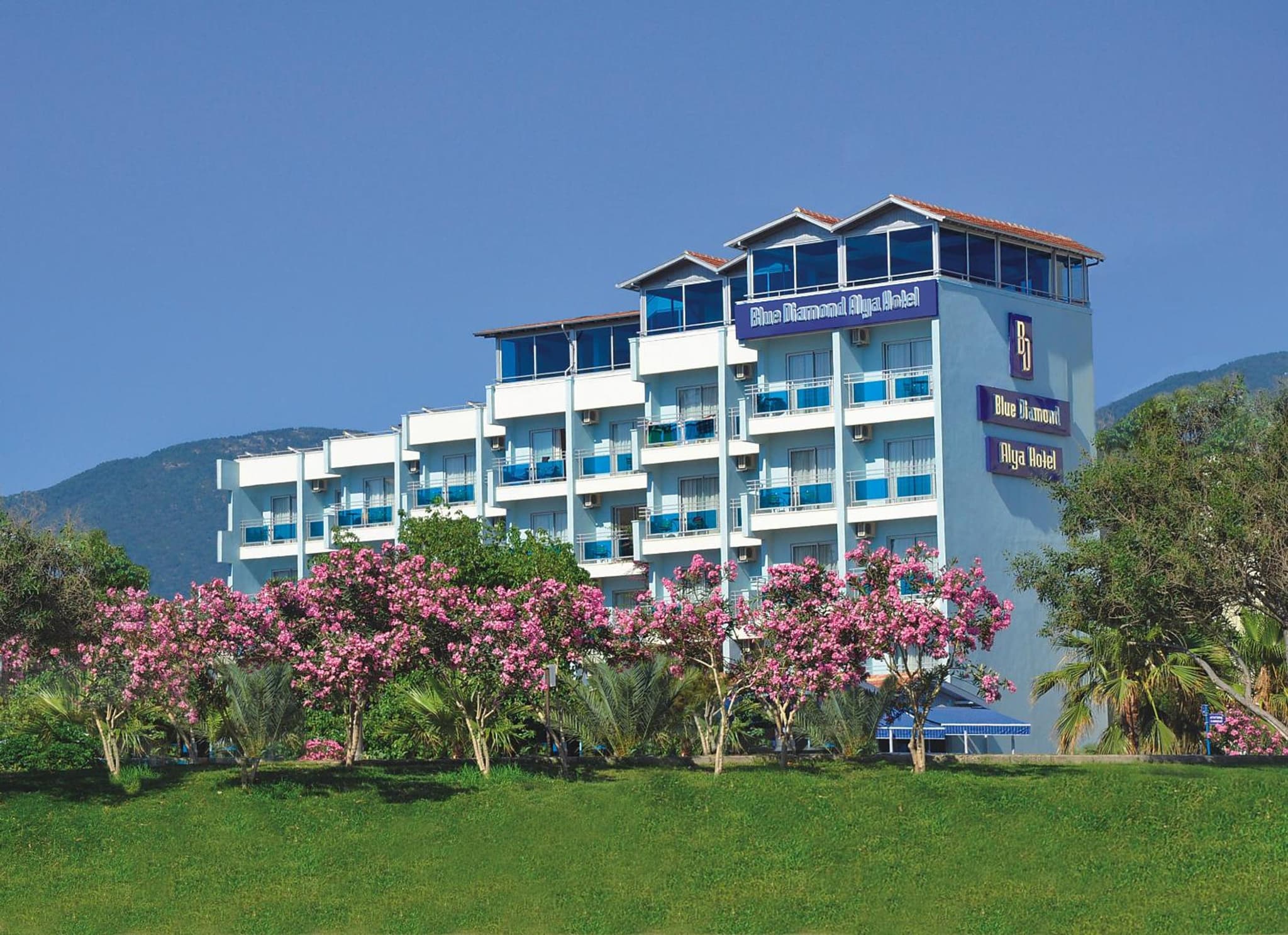 Blue Diamond Alya Hotel - Image 1