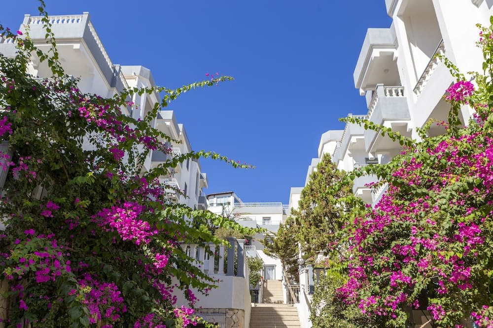 Smart Holiday Otel & Süitler - Her Şey Dahil fotoğrafı