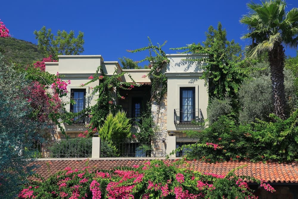 Zeytinada Otel fotoğrafı