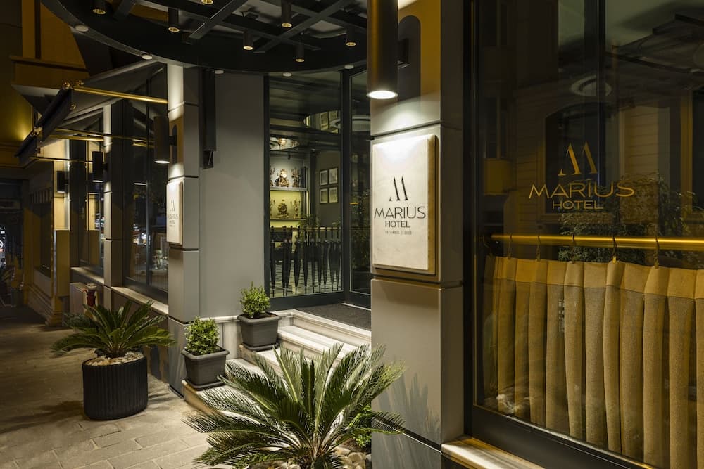 Marius Otel fotoğrafı