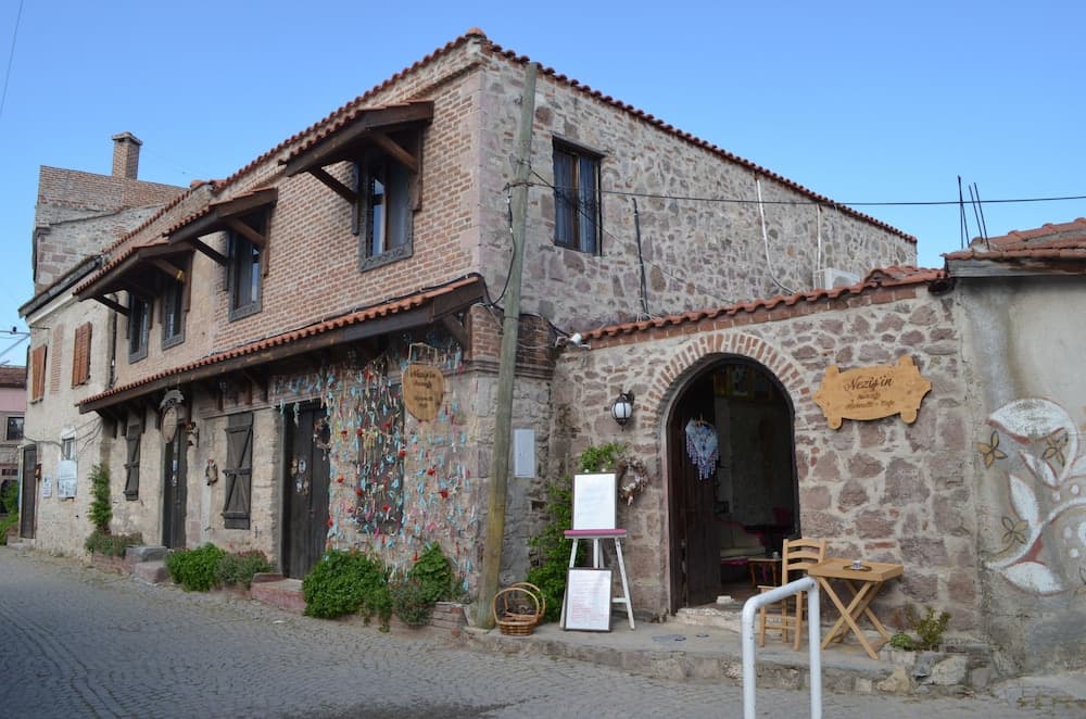 Nezisin Konağı - Image 1