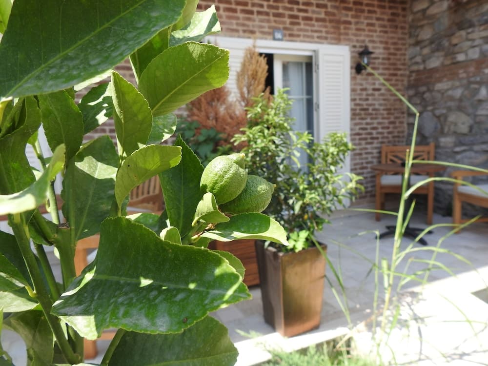 Kucukkoy Otel - Image 4