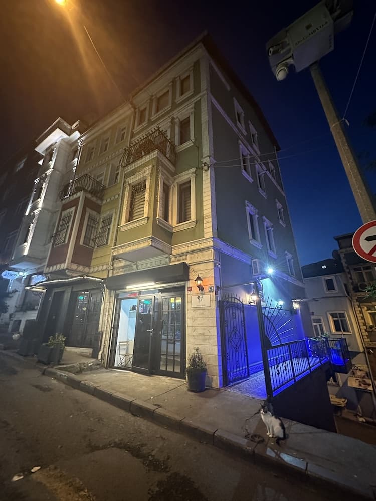 Green Bird Süit fotoğrafı