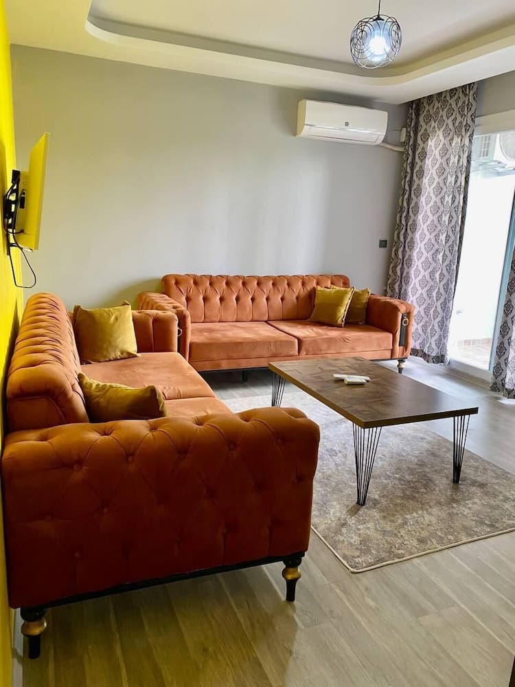 Palmiye Gold - Image 4