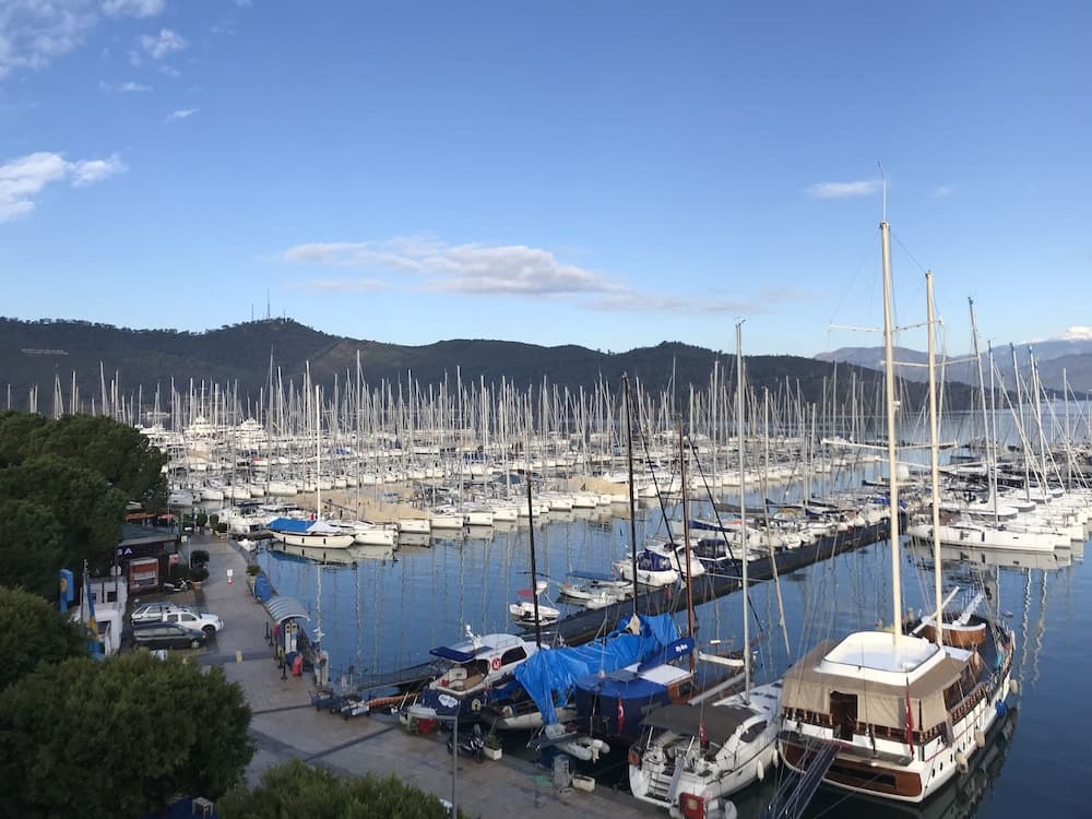 Ece Marina Suit - Image 4