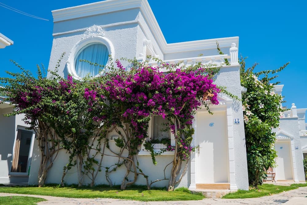 Art Suites Otel Bodrum - Image 1