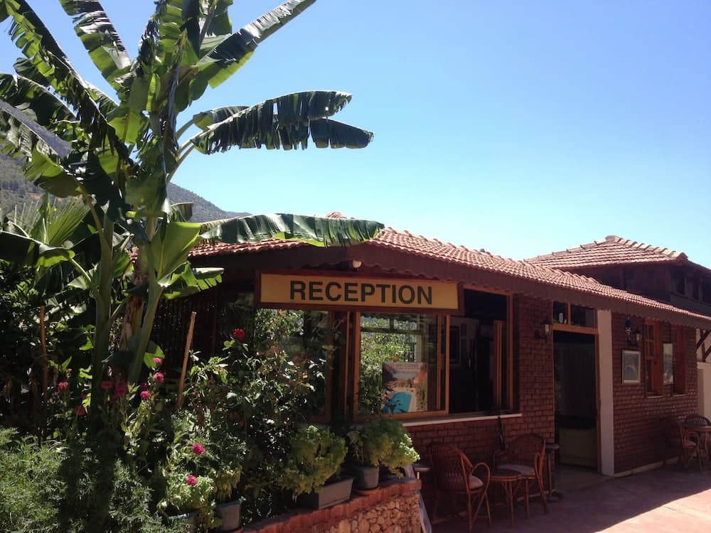 Aygul Otel - Image 1