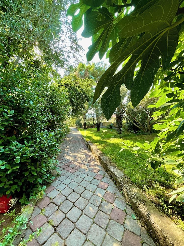 Gunes Otel & Daireler - Image 3