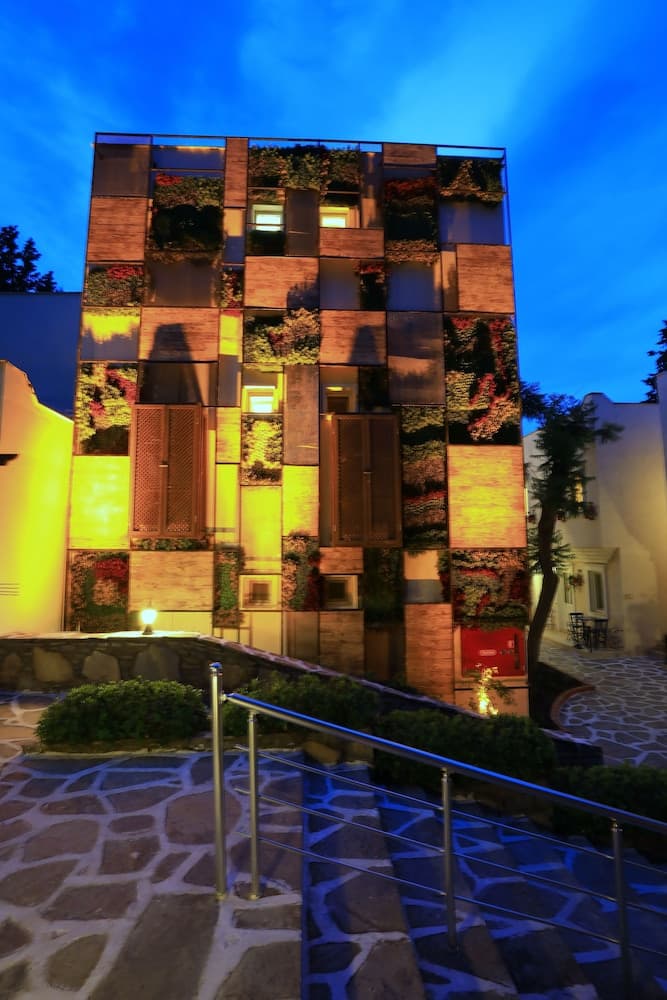 Cactus Fleur Beach Club - All Inclusive fotoğrafı