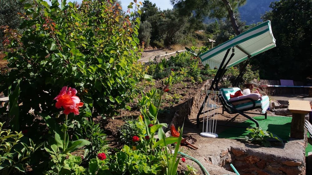 Shiva Kamp fotoğrafı