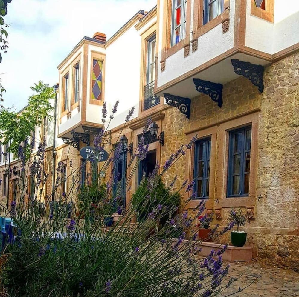 Ziyabey Konagi fotoğrafı