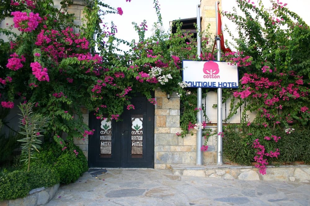 Cotton Boutique Hotel - Image 1