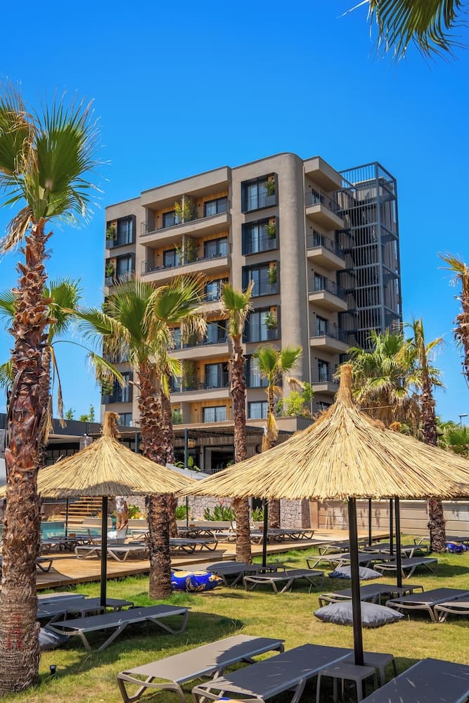 Ayvalık Sea Long fotoğrafı