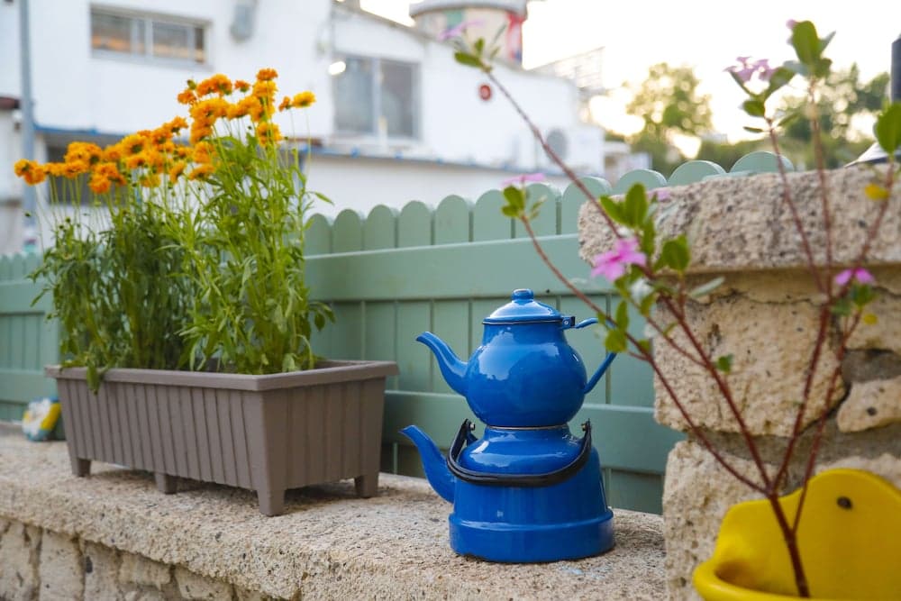 Elda Koyici Alacatı - Image 4