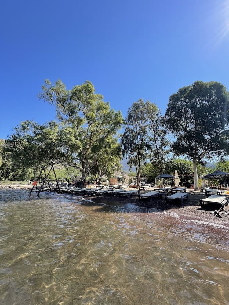 Marimare Beach & Bungalow Otel fotoğrafı