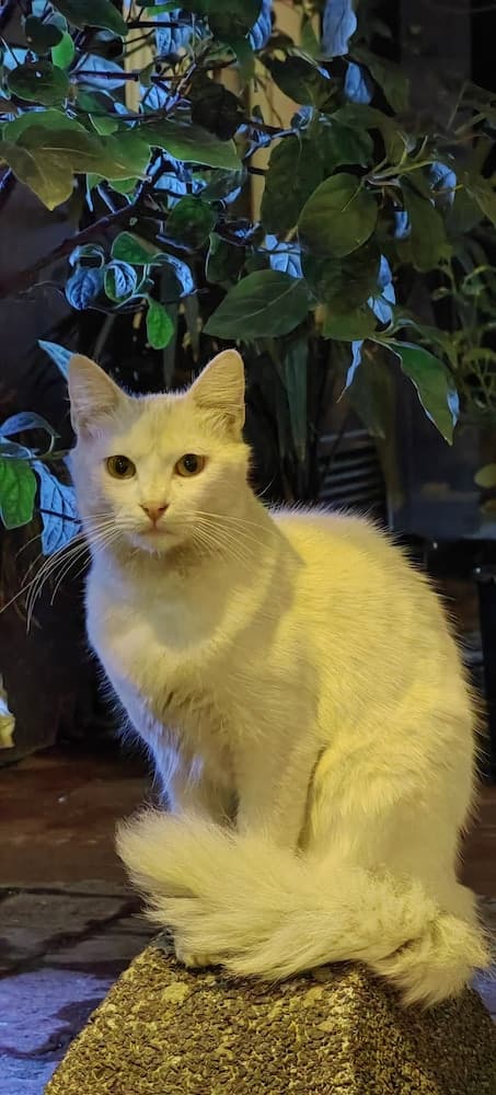 Taksim Diamond Hotel - Image 3