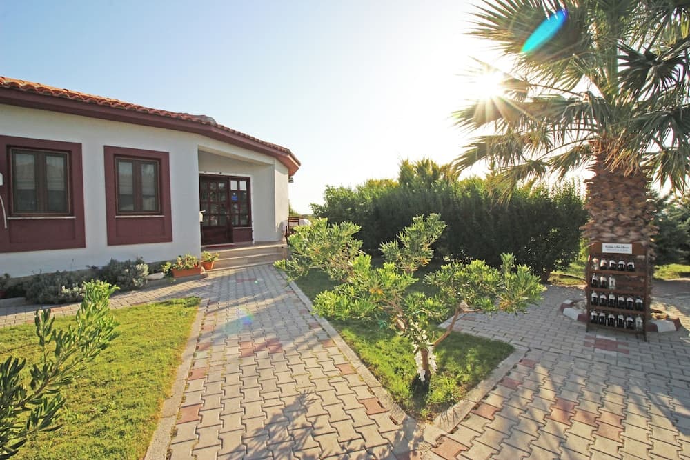 Karina Vineyard Evi - Image 1