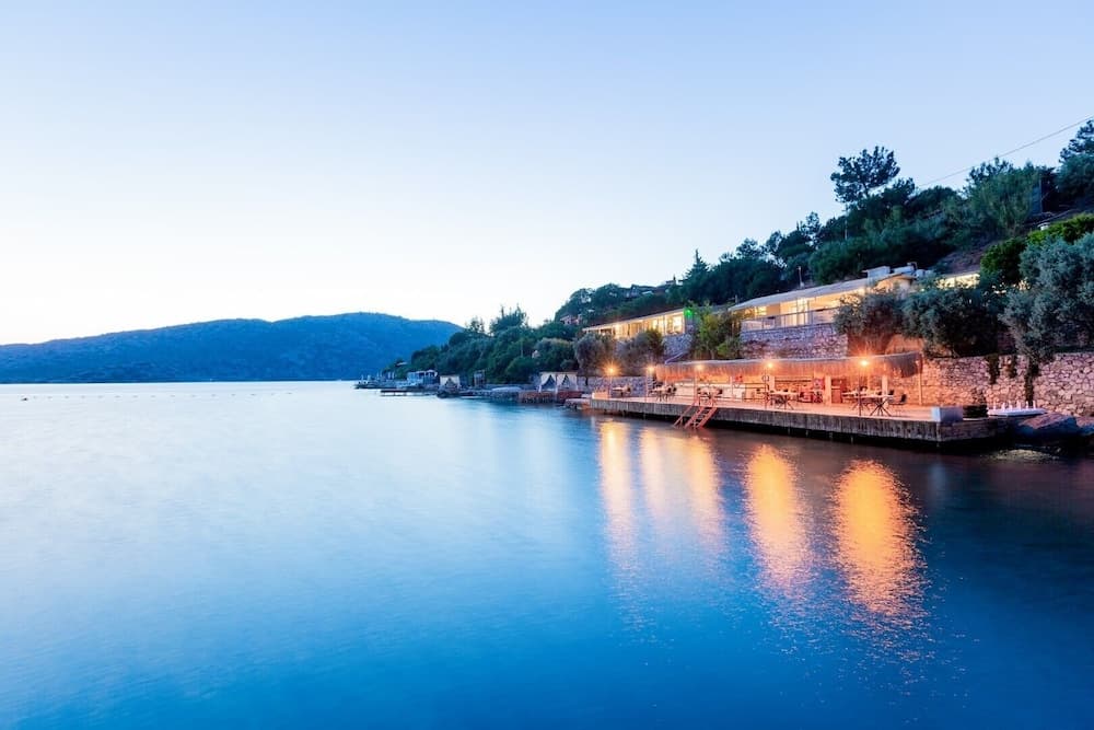 Casa Daracia (+15) fotoğrafı