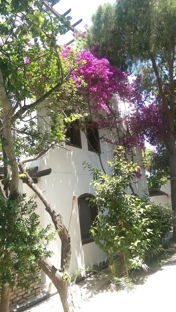 Ece Otel Bodrum fotoğrafı