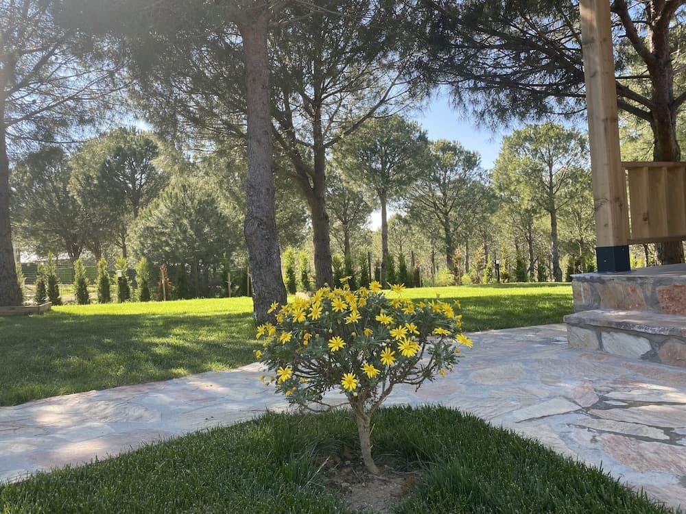 Elyada Otel ve Bağ Evi (+8 Yaş) - Image 4