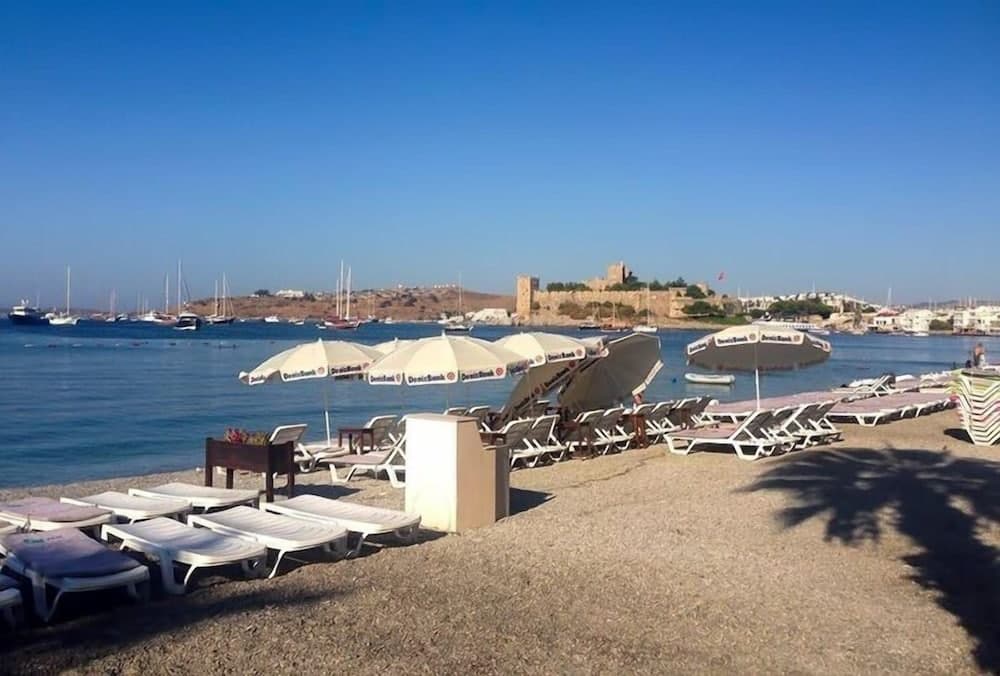 Sedan Pansiyon 2 fotoğrafı