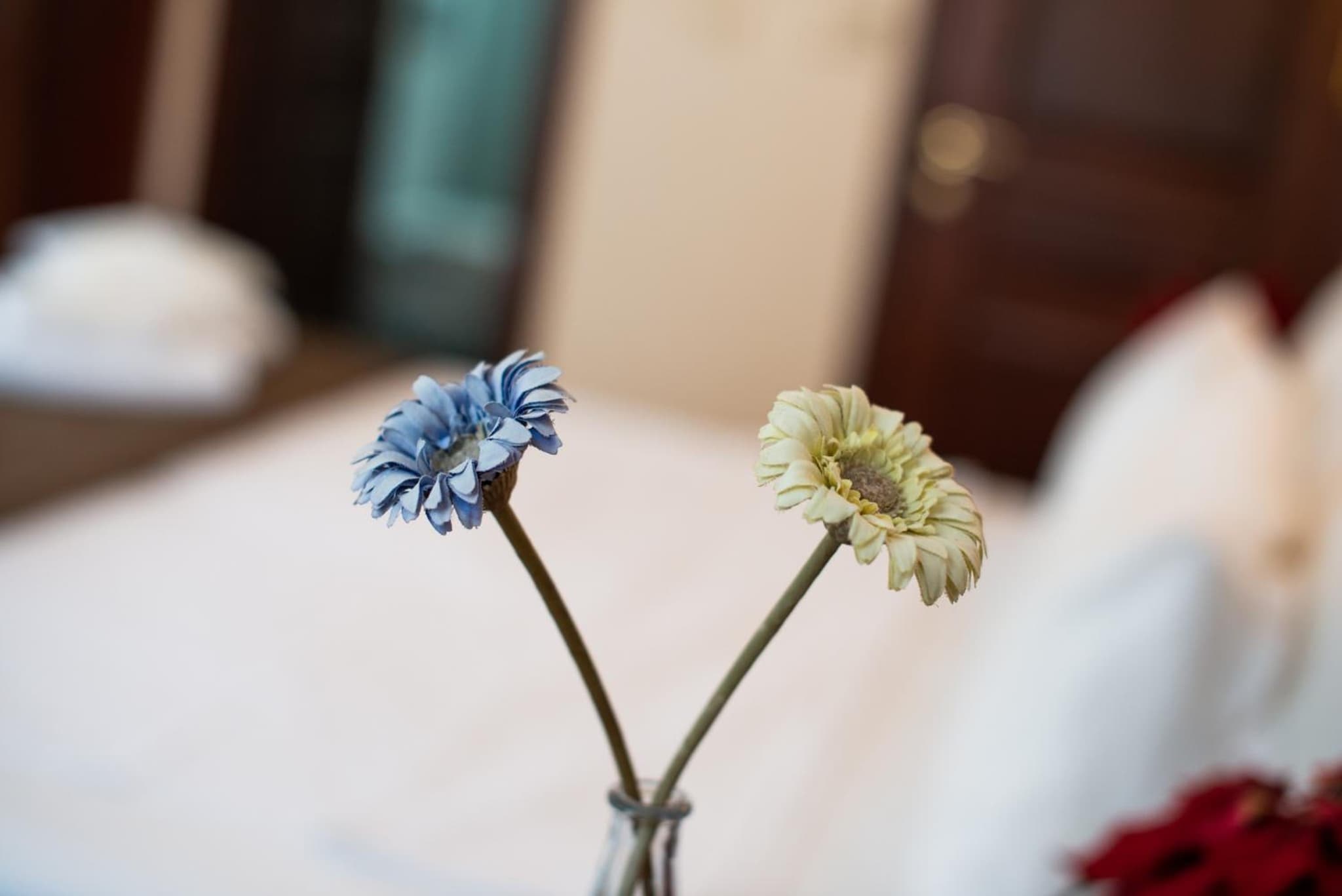 Sultanahmet Cesme Otel - Image 2