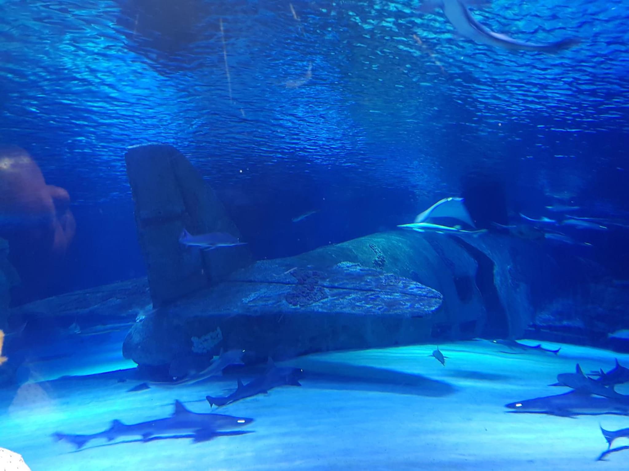 Granada City Alanya Luxury Appartment 800м от пляжа Клеопатра - Image 4